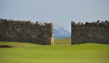 DSC_0080