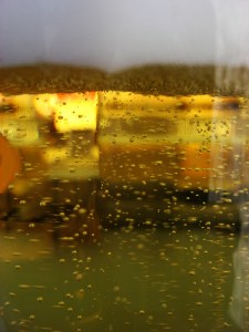 tiny bubbles in the [beer]...