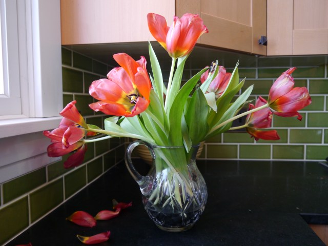 Day 9, still lovely.
